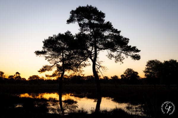 Jaarkalender Utrechtse Heuvelrug 2026 - Puur Natuur - Afbeelding 6
