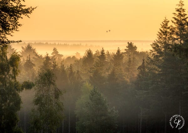 Jaarkalender Utrechtse Heuvelrug 2026 - Puur Natuur - Afbeelding 9