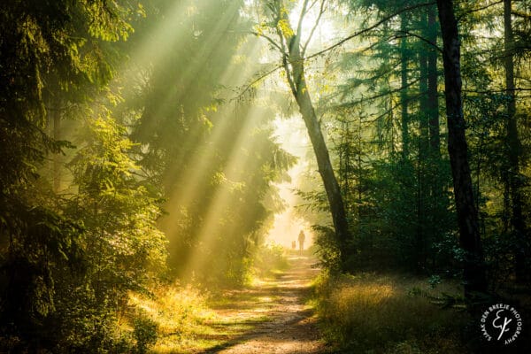 Jaarkalender Utrechtse Heuvelrug 2026 - Puur Natuur - Afbeelding 10