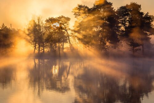 Zonsopkomst in het Leersumse Veld. - Sjaak den Breeje