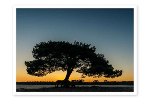 Wenskaart Vliegden bij zonsondergang