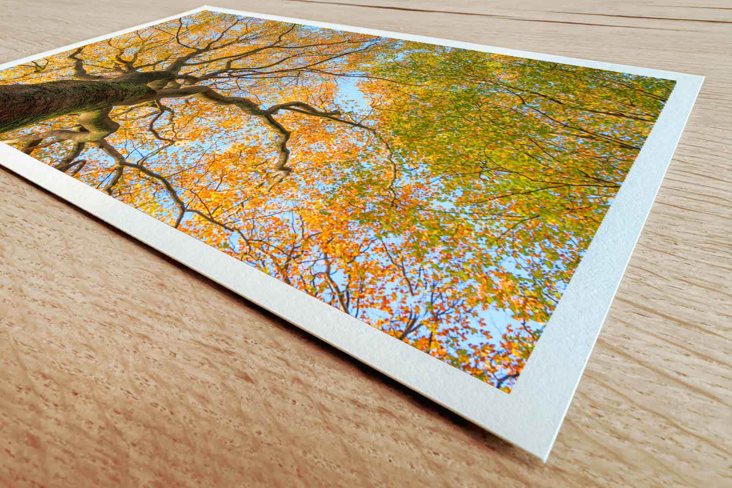 Palet van herfstkleuren - Afbeelding 2