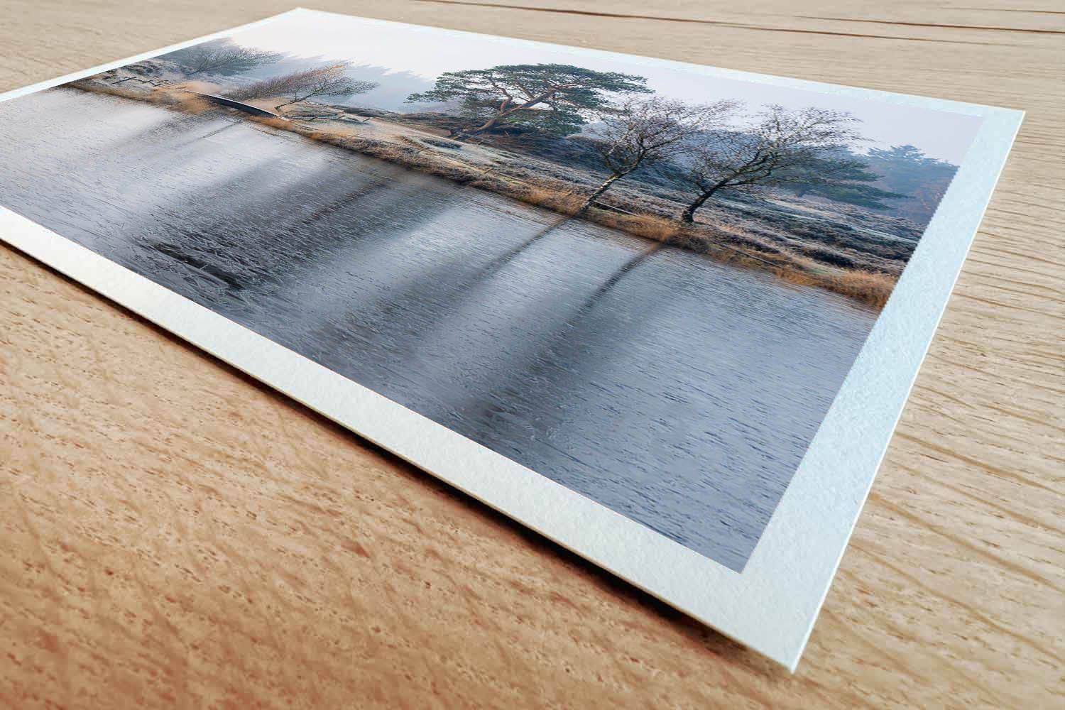 Winters Heidemeertje - Afbeelding 2