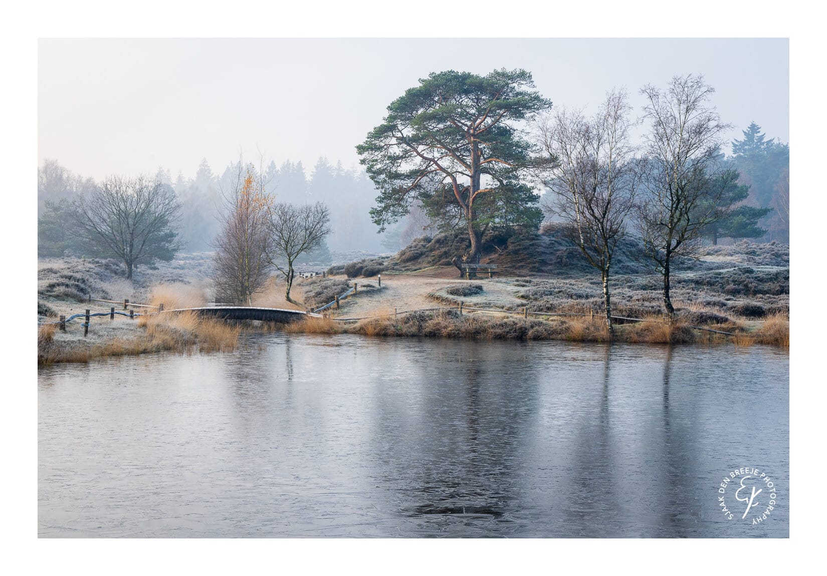 Winters Heidemeertje